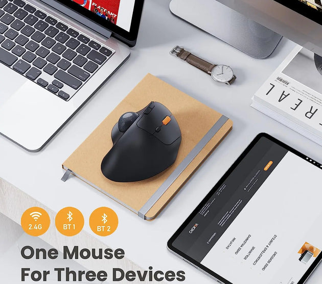 ProtoArc EM04 Trackball Mouse Wireless Rechargeable Ergonomic Vertical Bluetooth Mice for Computer PC iPad Mac Windows Android