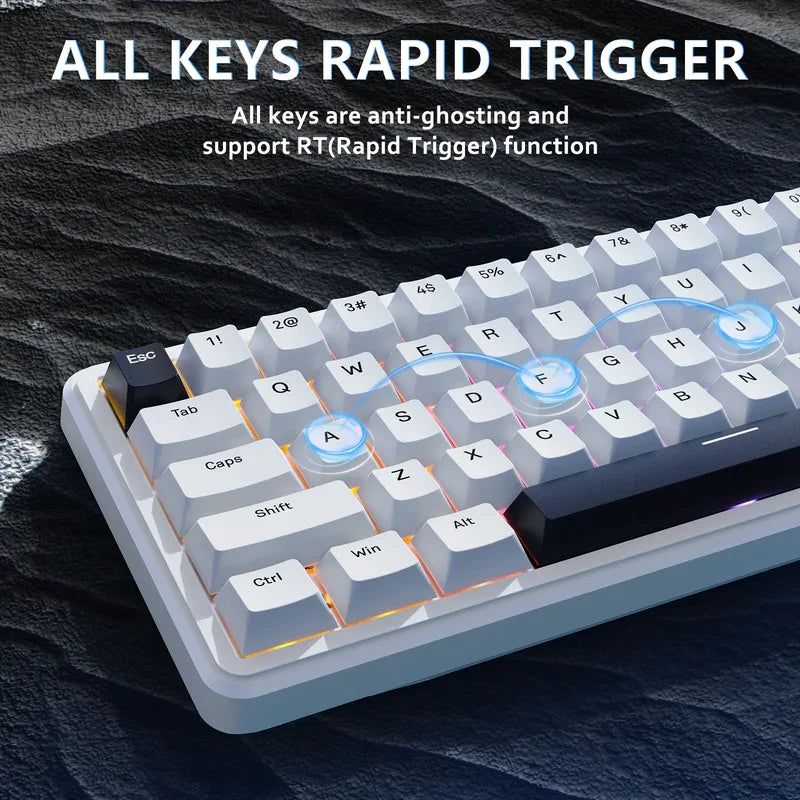 ATTACK SHARK X65 HE 65% Wired Gaming Keyboard with 8000 Hz Polling Rate, 0.01mm RT Accuracy, PBT Keycaps, QMK Driver, RGB